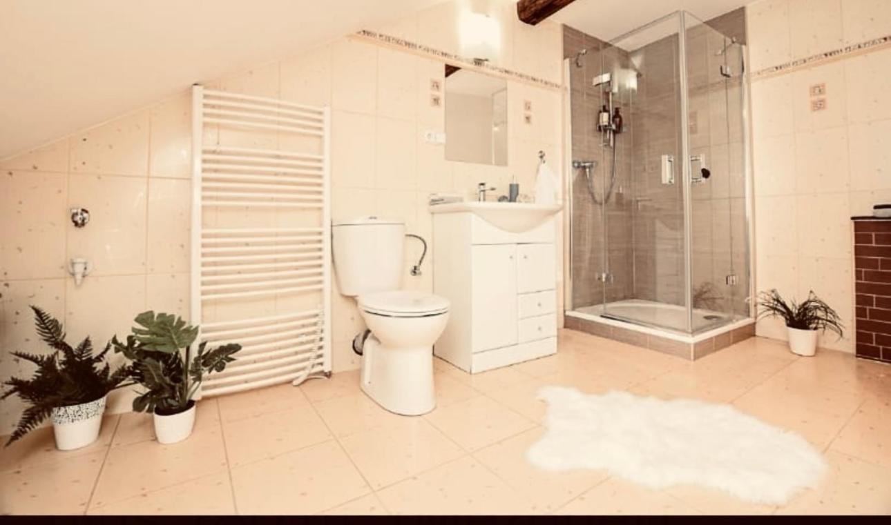Apartman Penelope 扎泰克 外观 照片